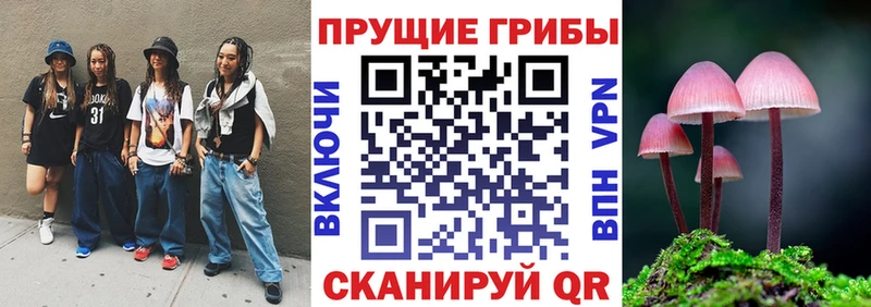 Псилоцибиновые грибы GOLDEN TEACHER  darknet как зайти  Малмыж  купить  сайты 
